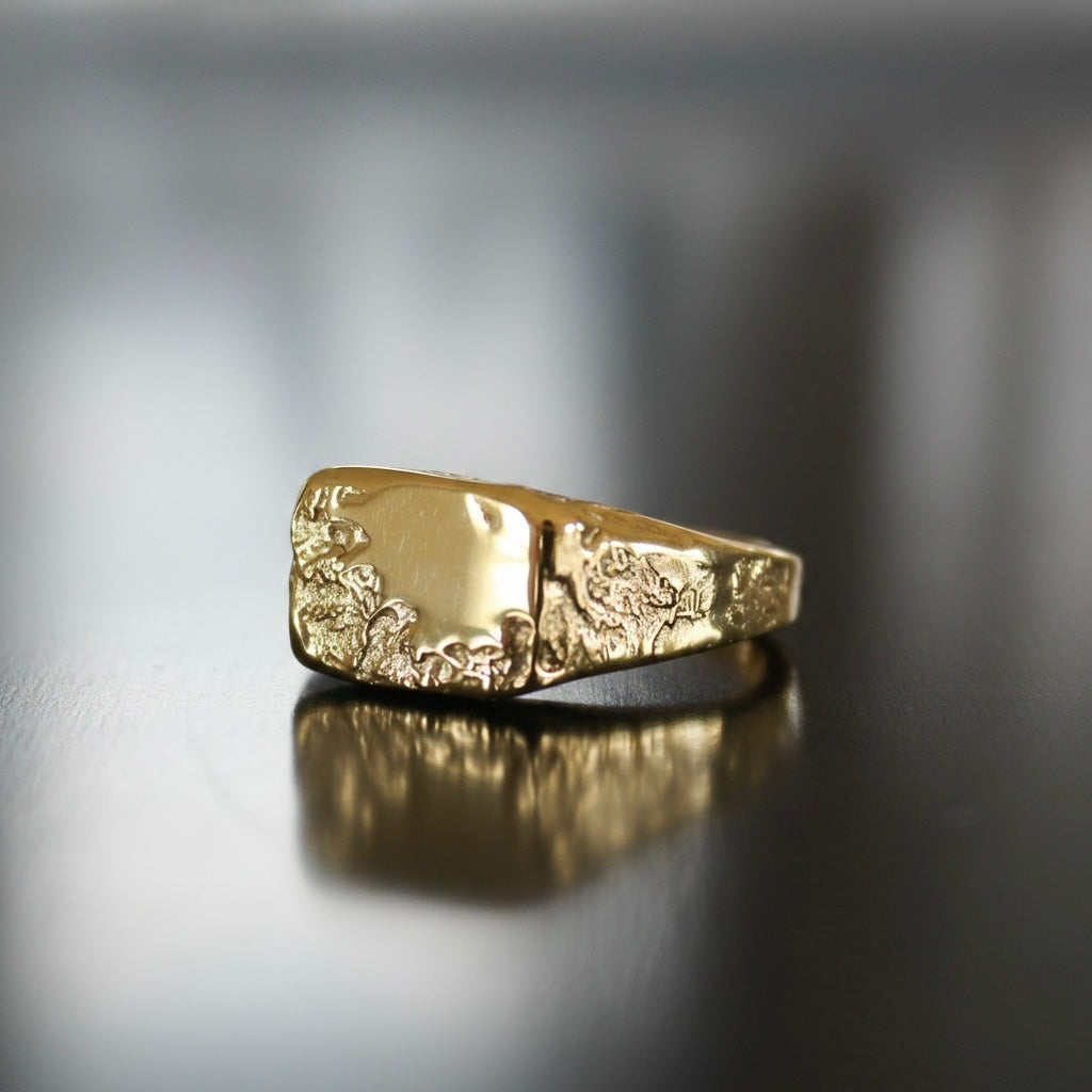 Melted Kawarau Signet Sterling Silver